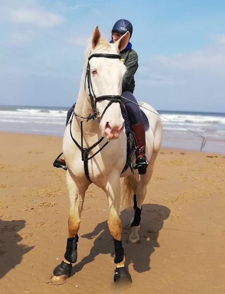 Picture of horse riding on Holkham Beach